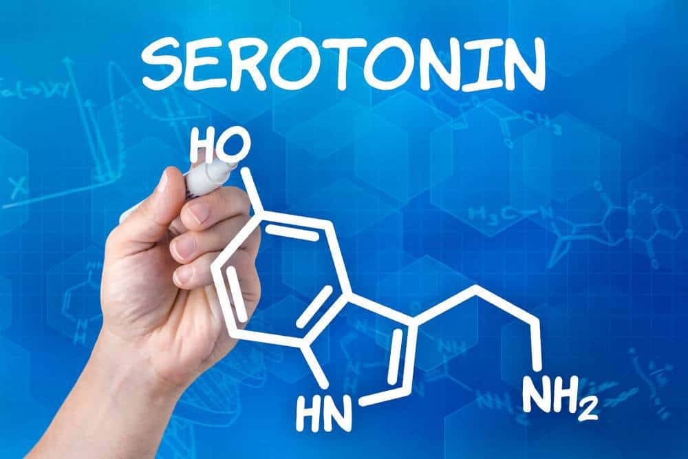 Structural formula for serotonin.