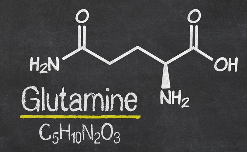 ¿Cuáles son los mejores suplementos de glutamina en 2022?