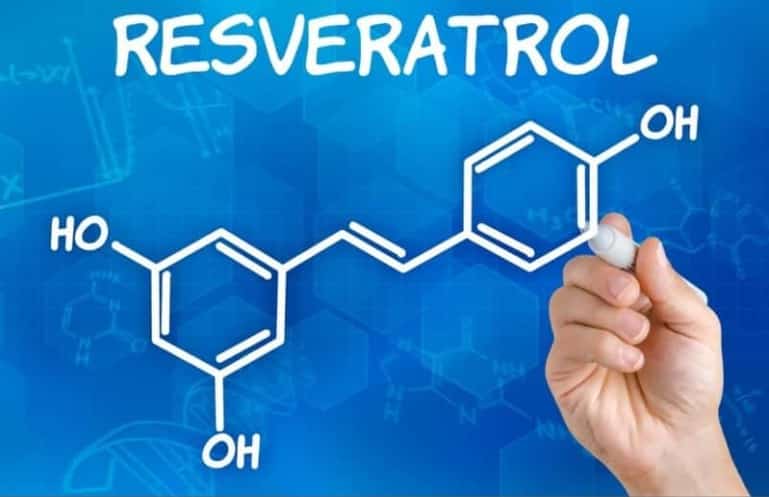 ¿Cuál es el mejor suplemento de Resveratrol?